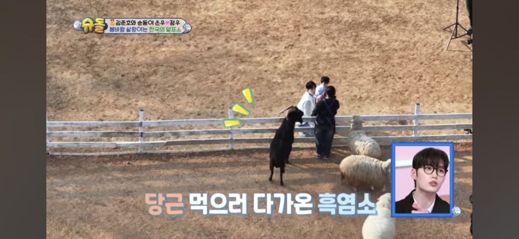 [슈돌] 목장 먹이주기 체험하는 정우 | 인스티즈