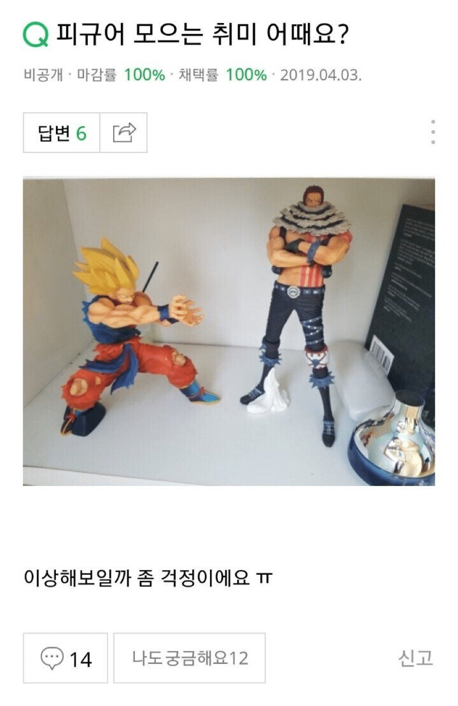 털이 수북하니 긴가민가하게 만드는... | 인스티즈