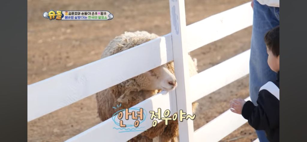  [슈돌] 목장 먹이주기 체험하는 정우
