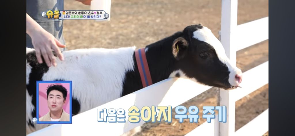 [슈돌] 목장 먹이주기 체험하는 정우 | 인스티즈