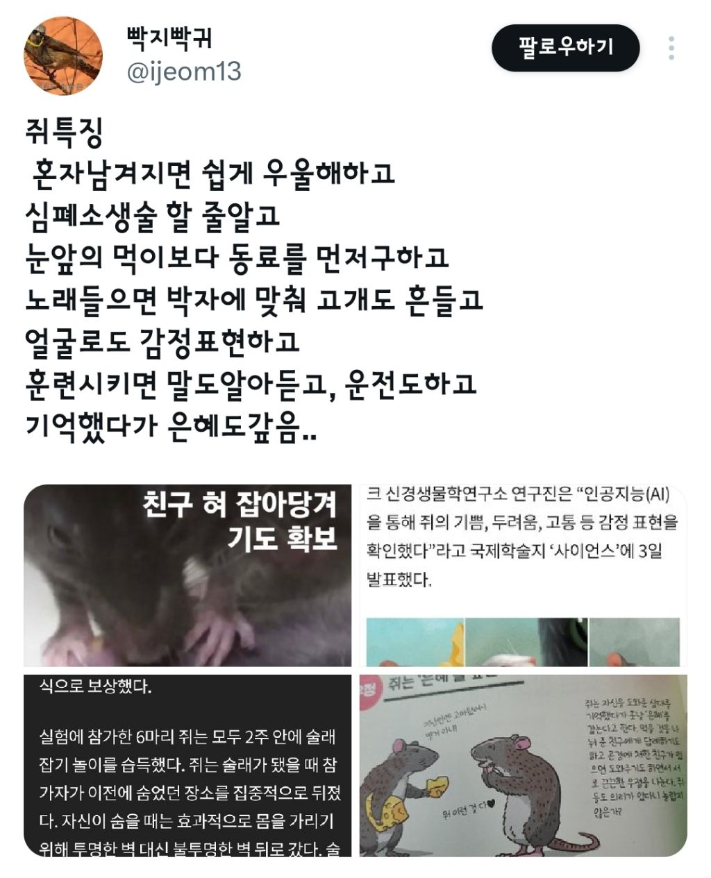  쥐는 의외로 굉장히 고등하다