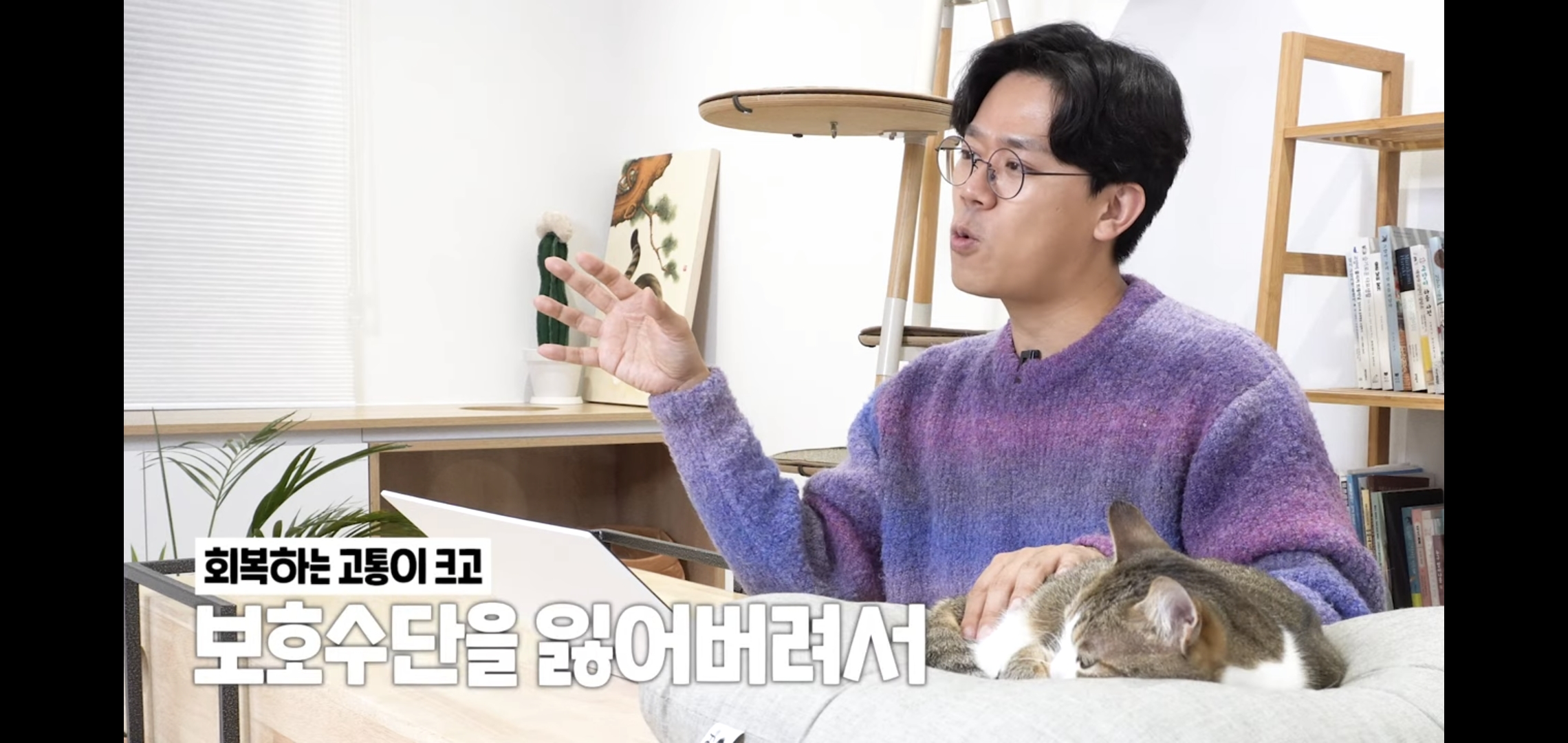 연예인이 병원에 데려온 고양이 보고 기겁한 미야옹철.jpg | 인스티즈