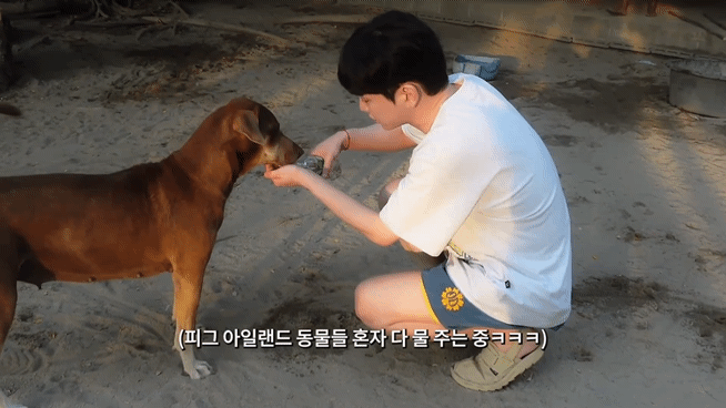 태국 여행 갔다가 온 동네 돼지들한테 물 먹여주고 다닌 샤이니 키ㅋㅋㅋㅋㅋㅋ.jpg | 인스티즈