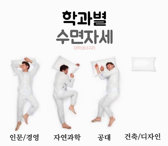  학과별 수면자세