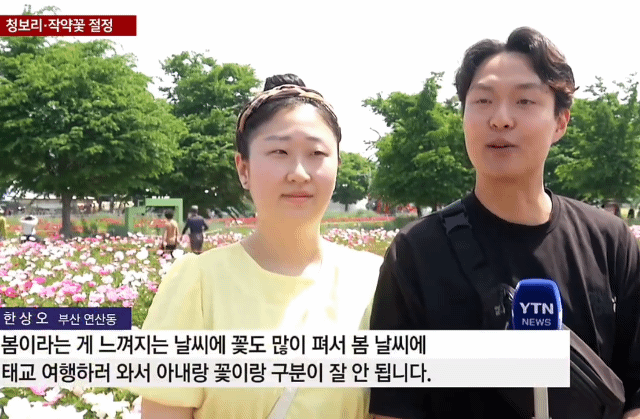  와이프랑 꽃이랑 구분이 잘 안 됩니다