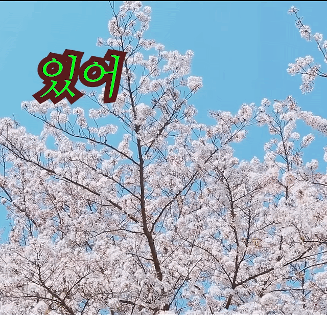 제주도에 백화점도 대형 쇼핑몰도 이케아도 없는데 불편하지 않으신가요?ㅠㅜ | 인스티즈
