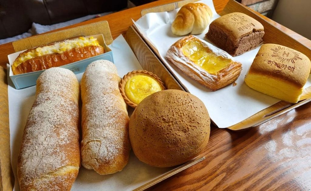  대전 하레하레