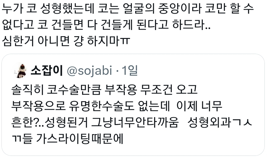 성형 정병 상담러가 된 진수 친구 덕에 붐업된 각종 성형 부작용들 이야기.twt | 인스티즈