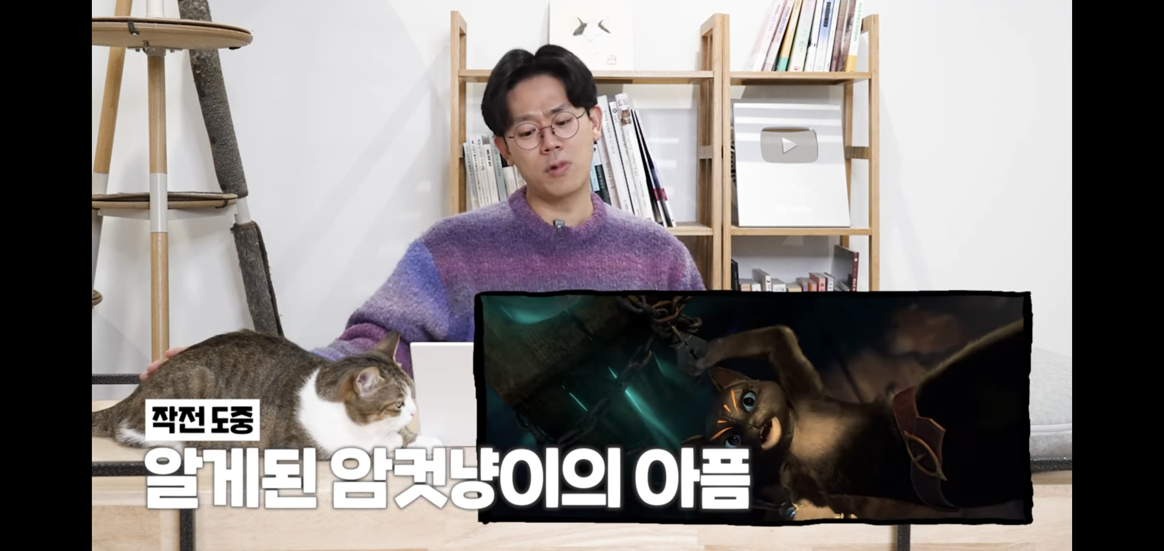  연예인이 병원에 데려온 고양이 보고 기겁한 미야옹철.jpg