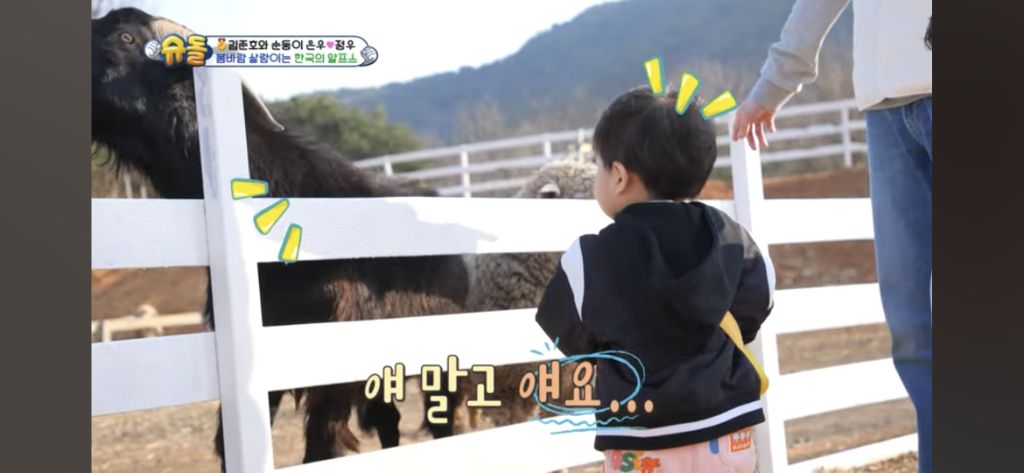 [슈돌] 목장 먹이주기 체험하는 정우 | 인스티즈