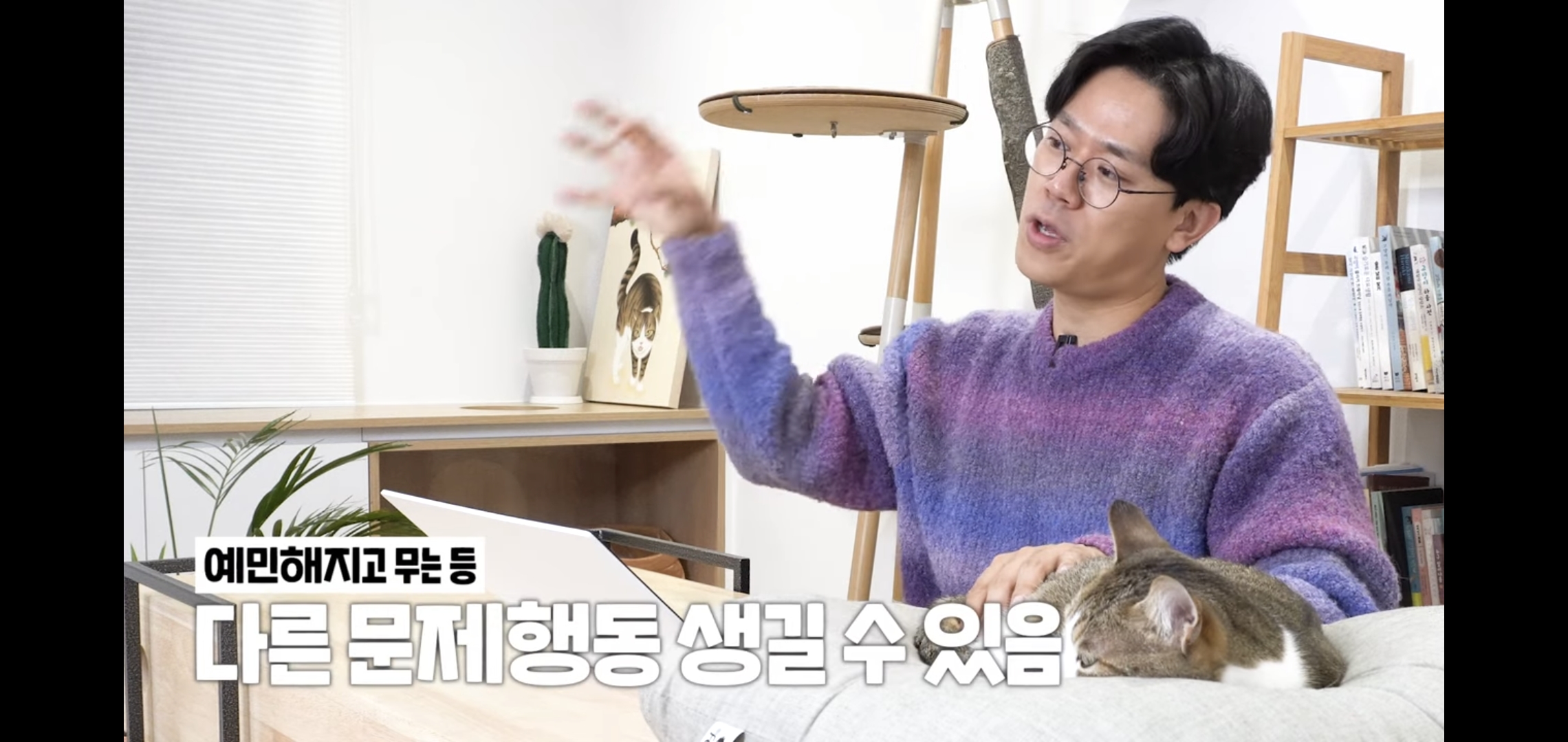 연예인이 병원에 데려온 고양이 보고 기겁한 미야옹철.jpg | 인스티즈