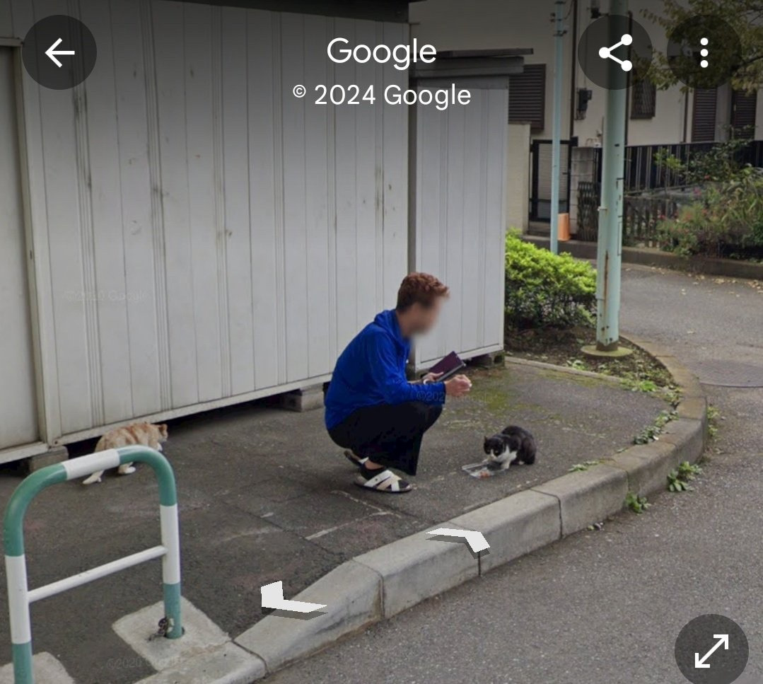 구글맵에 폭로당한 일본 양아치의 이중생활 | 인스티즈