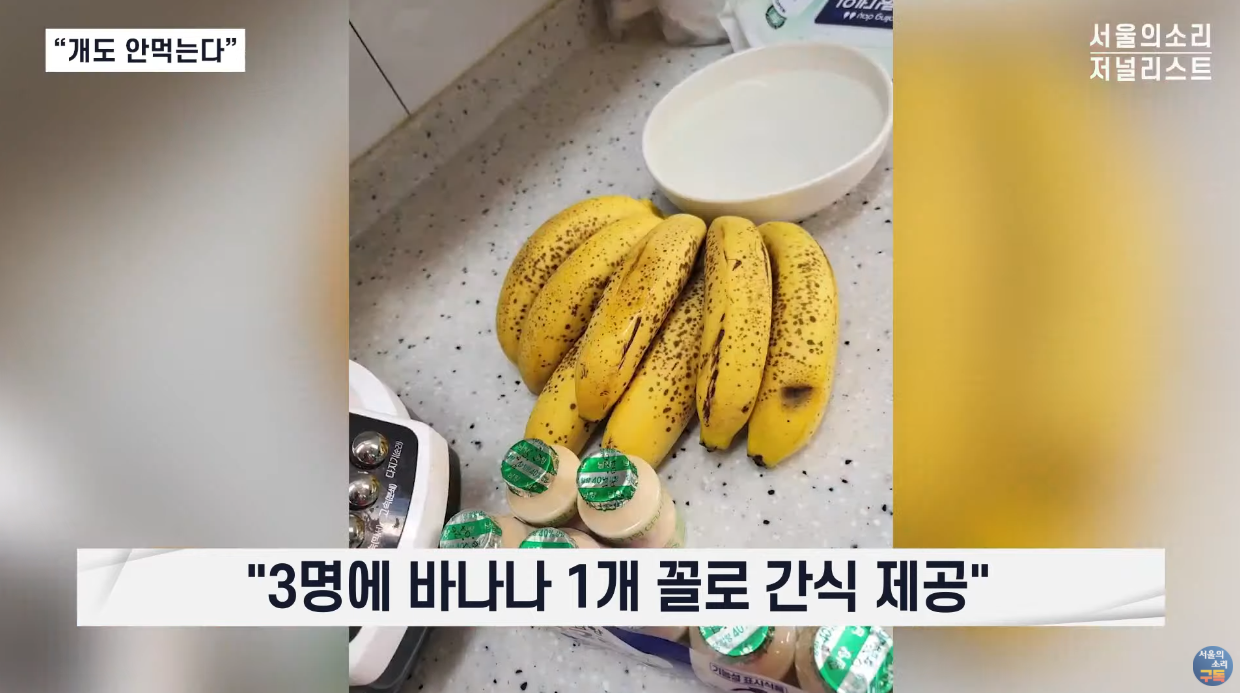 1.이런 요양원 봤어? 여기 운영하는 사람을 사람이라고 부를 수 있나? (온요양원/최은순/김건희) | 인스티즈