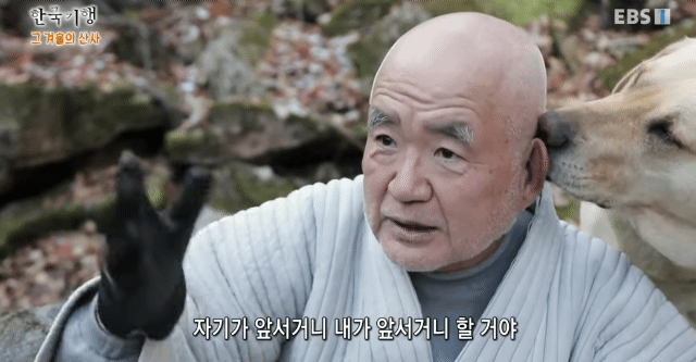 너네 집 강아지 좀 자랐냐?.jpg | 인스티즈