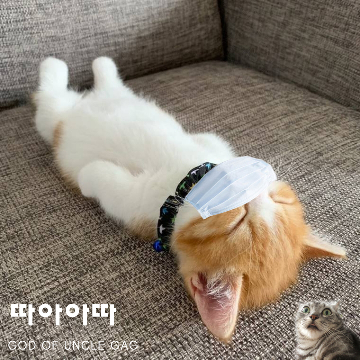 정은경 질병관리 본부장의 외신 애칭 | 인스티즈
