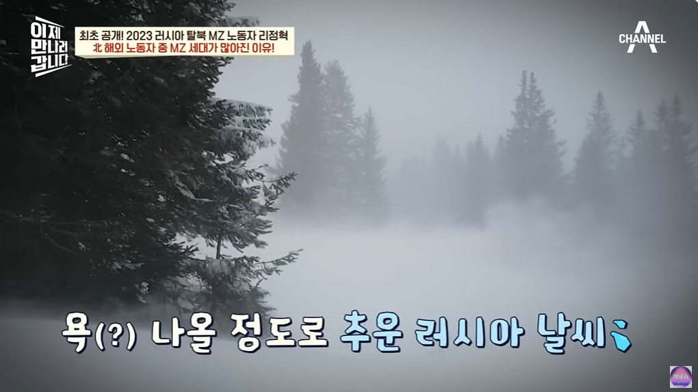 1년에 100달러도 벌기 힘들다는 북한 | 인스티즈
