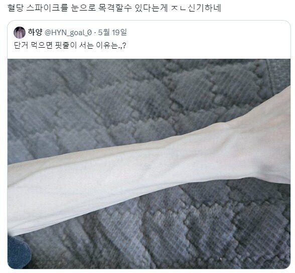  혈당 스파이크 체감하기 .jpg