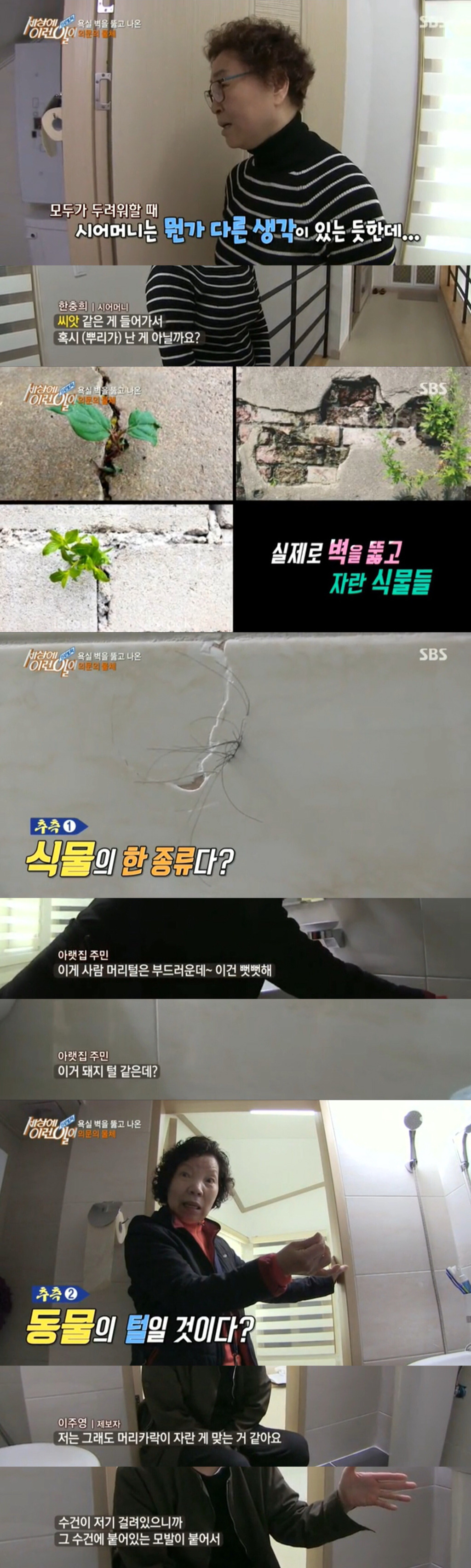 욕실벽에 낀 의문의 머리카락 | 인스티즈