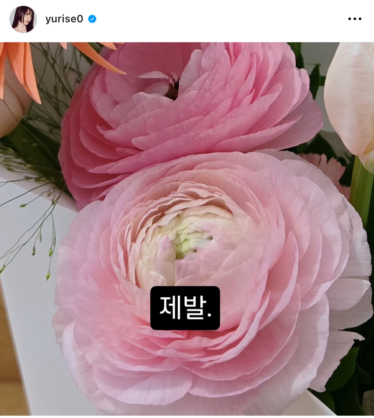 서유리 인스타그램 스토리 업로드 | 인스티즈