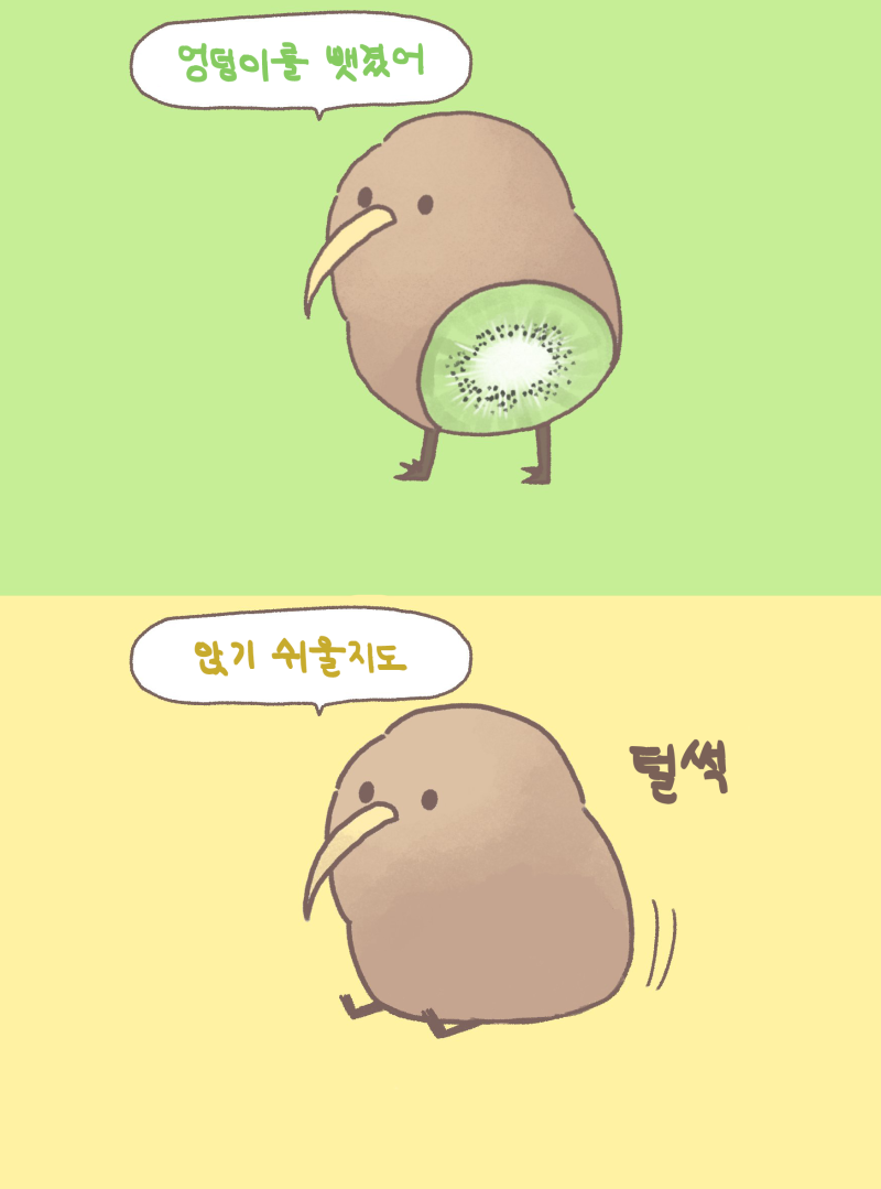 키위새가 날개를 잃어버린 이유 | 인스티즈