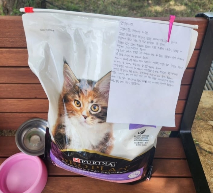편지, 사료와 함께 버려진 고양이 (구미 동락공원) | 인스티즈