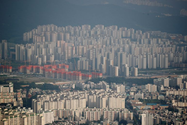 아일랜드인들 사이에서 뜬금없이 벌어진 한국의 과밀 논란 | 인스티즈