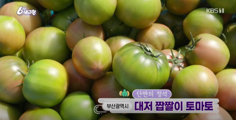 진짜 맛있어서 좋아하는 사람은 환장한다는 토마토 | 인스티즈