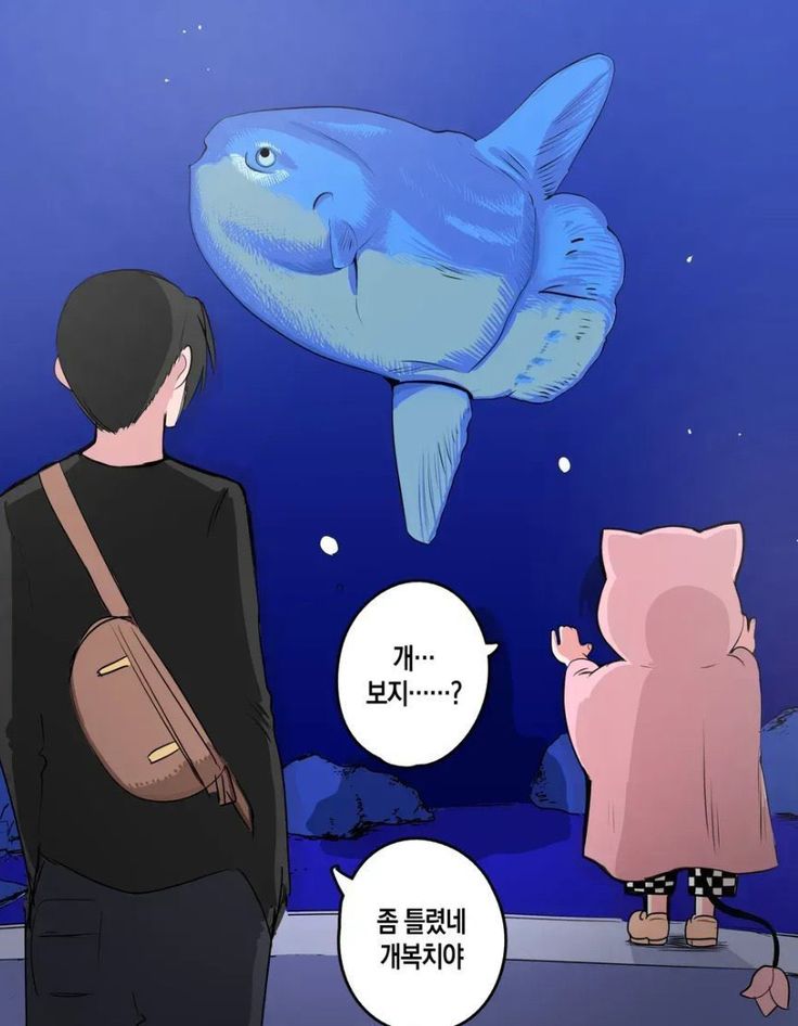 핀터레스트 정주행.... 1악장.. 인성터진짤에 웃기 | 인스티즈
