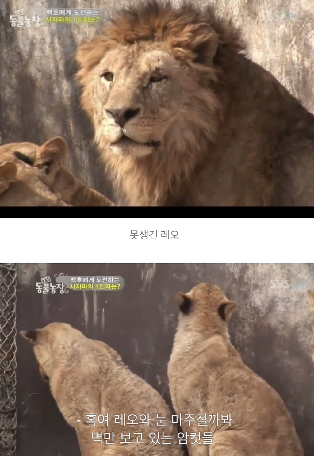인성 나가리 짤 2 😆 | 인스티즈