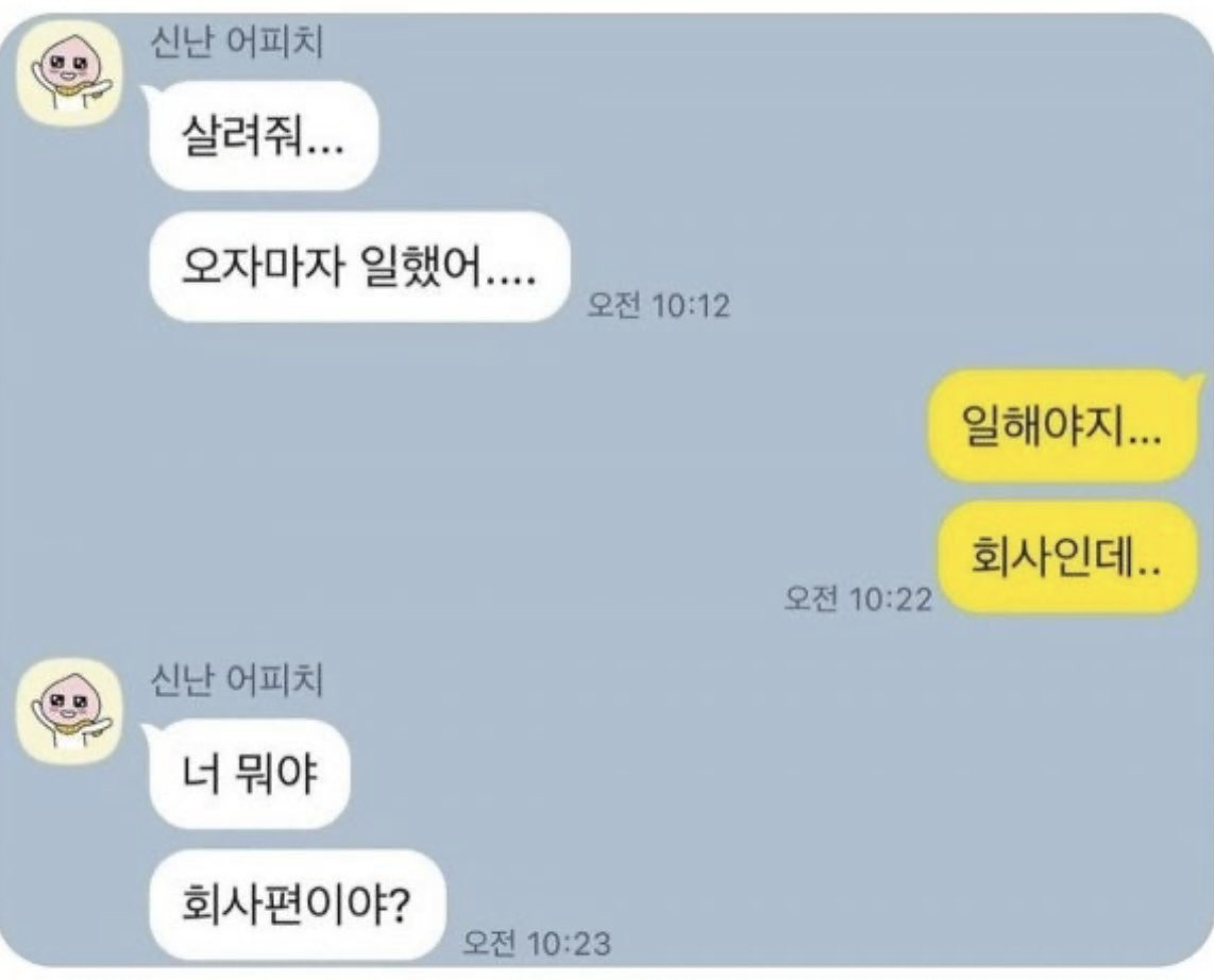  입사 5일차 친구 카톡