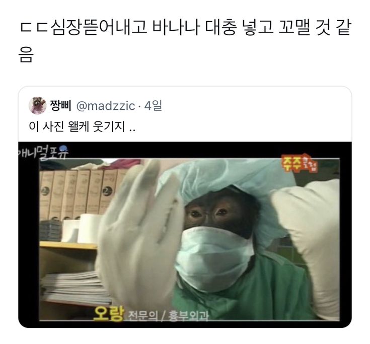 핀터레스트 정주행.... 1악장.. 인성터진짤에 웃기 | 인스티즈