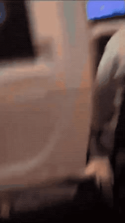  비행기가 흔들리는 이유 .gif