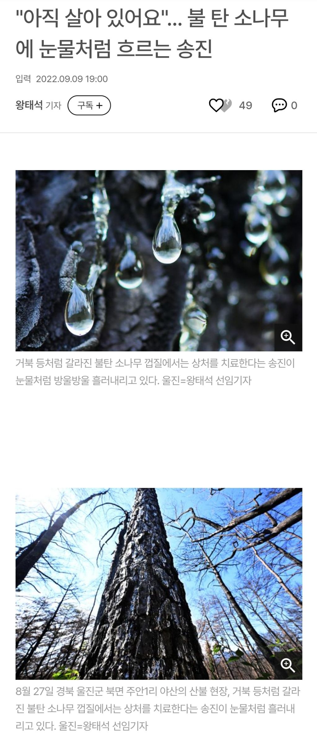 식물은 뽁쳐…물 안 주면 "뽁, 뽁” 시간당 50번 소리내 | 인스티즈