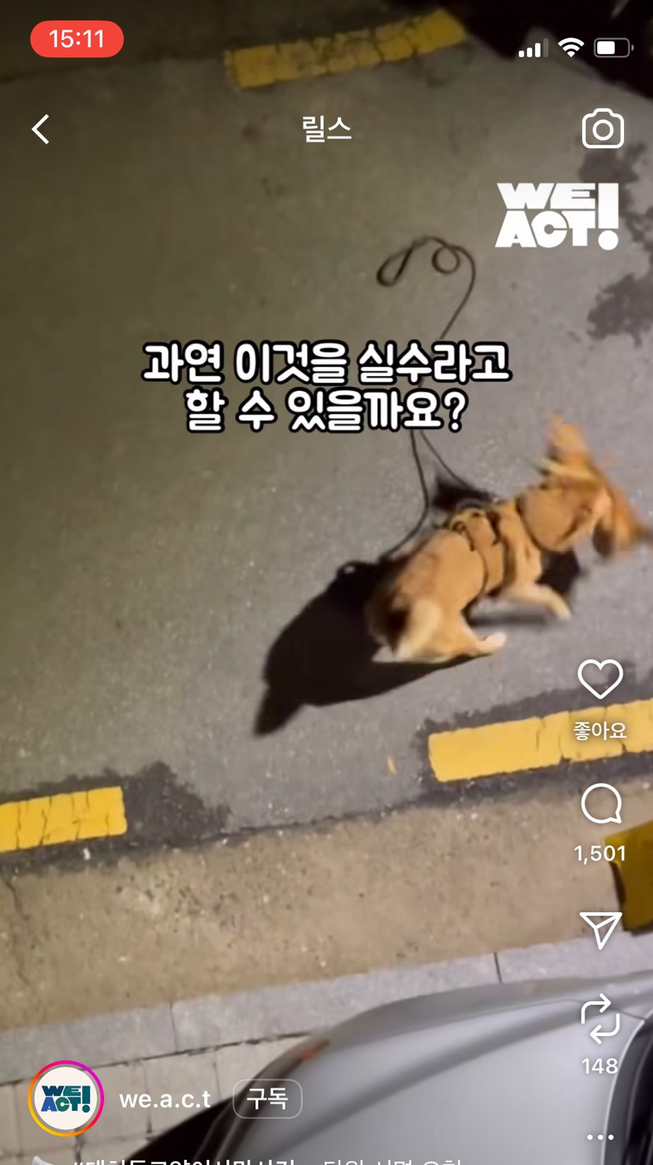 길고양이 물어뜯어죽이는데 방관하는 보호자(수사촉구를 위한 탄원서 작성하자!!!!) | 인스티즈