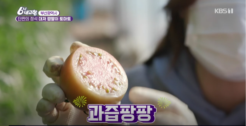 진짜 맛있어서 좋아하는 사람은 환장한다는 토마토 | 인스티즈