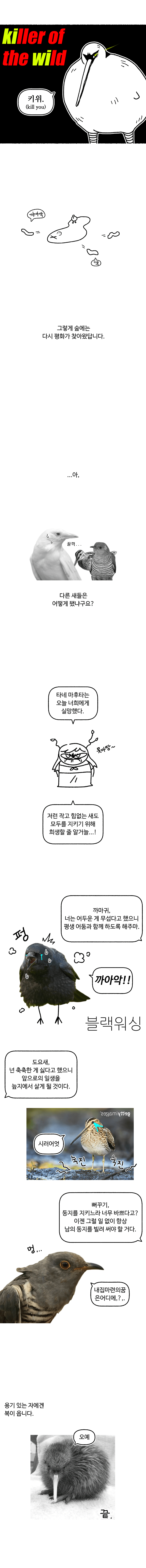 키위새가 날개를 잃어버린 이유 | 인스티즈