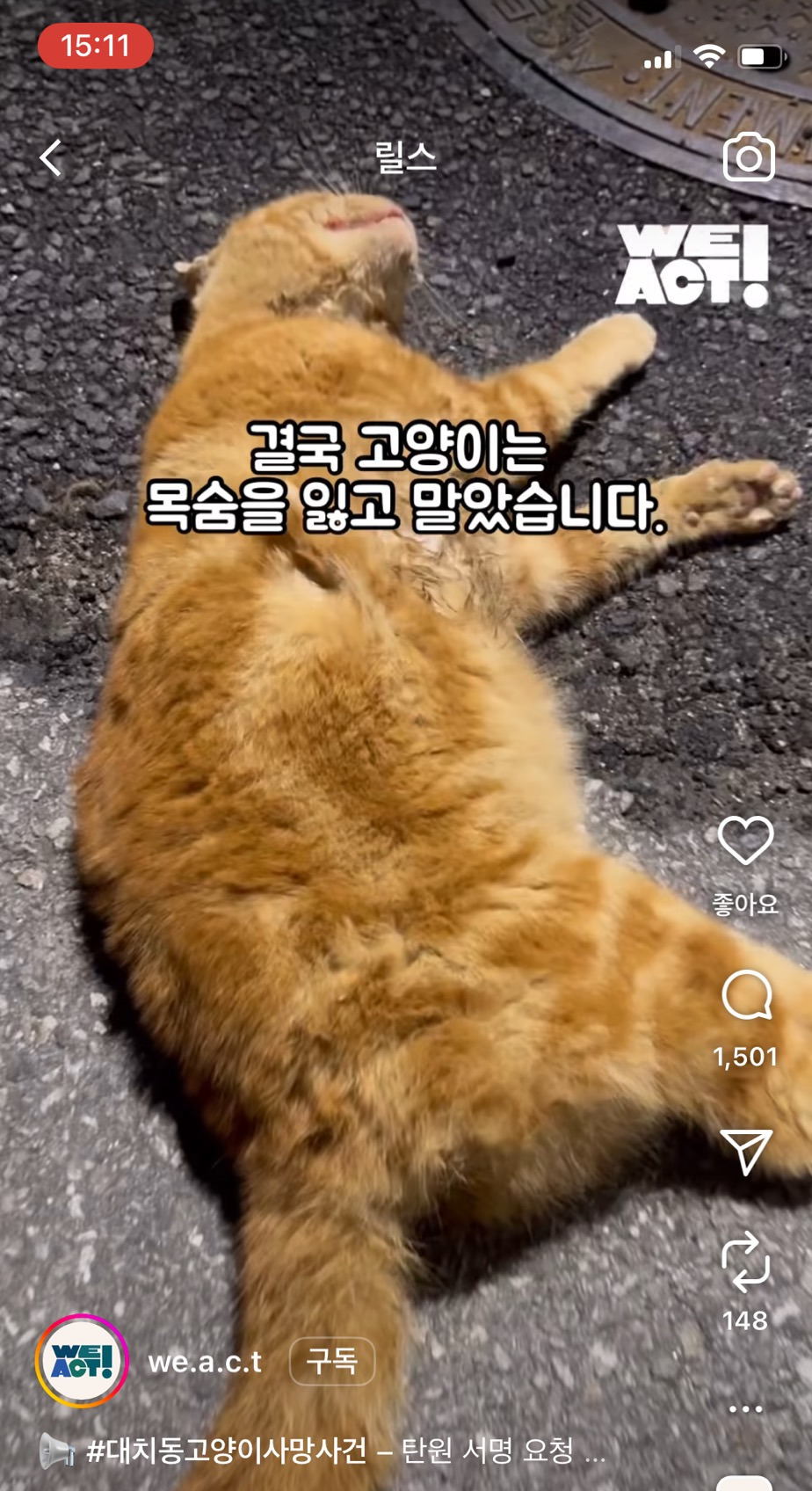 길고양이 물어뜯어죽이는데 방관하는 보호자(수사촉구를 위한 탄원서 작성하자!!!!) | 인스티즈