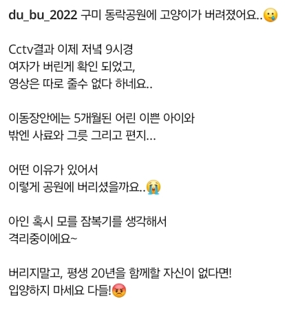 편지, 사료와 함께 버려진 고양이 (구미 동락공원) | 인스티즈