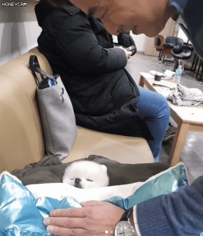 태도 논란이 있는 배우....gif | 인스티즈