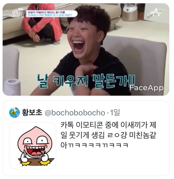 핀터레스트 정주행.... 1악장.. 인성터진짤에 웃기 | 인스티즈