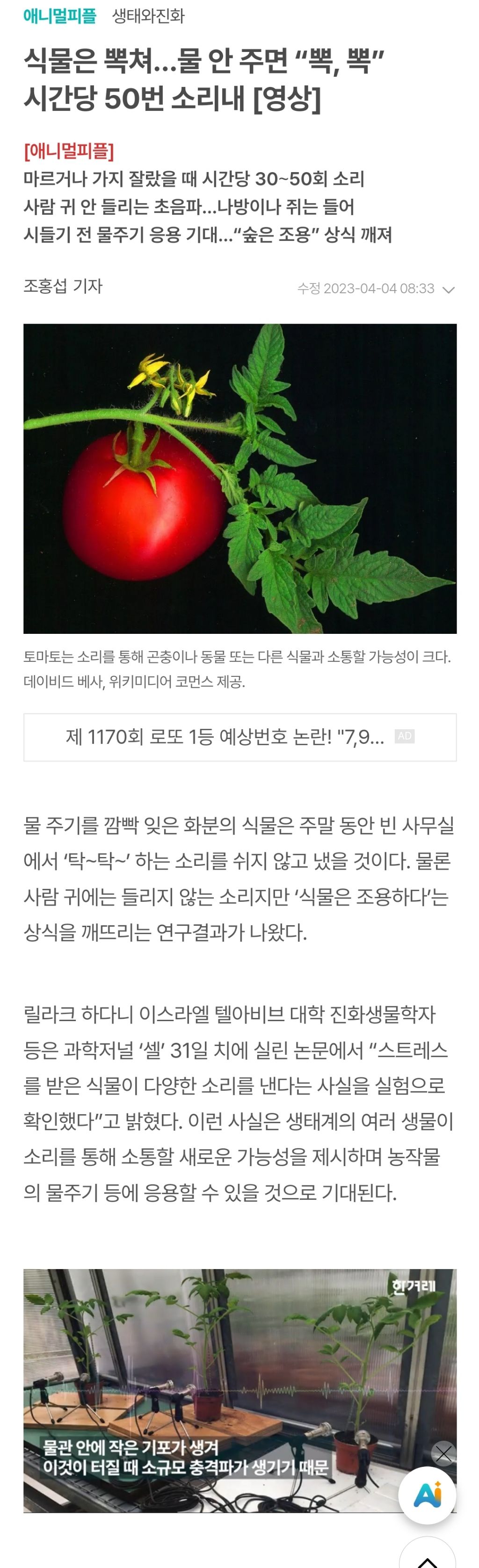 식물은 뽁쳐…물 안 주면 "뽁, 뽁” 시간당 50번 소리내 | 인스티즈