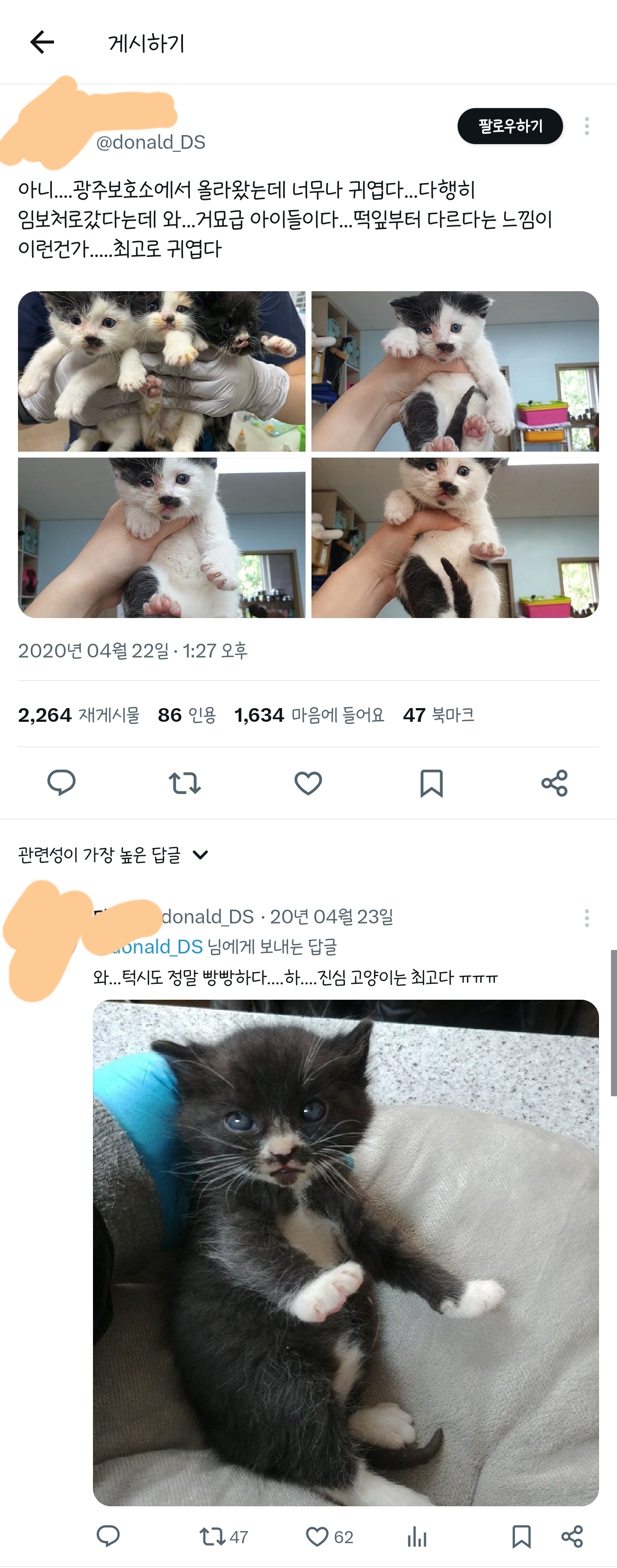 거묘급 아이들이다...떡잎부터 다르다는 느낌이 이런건가 🐈‍⬛ | 인스티즈