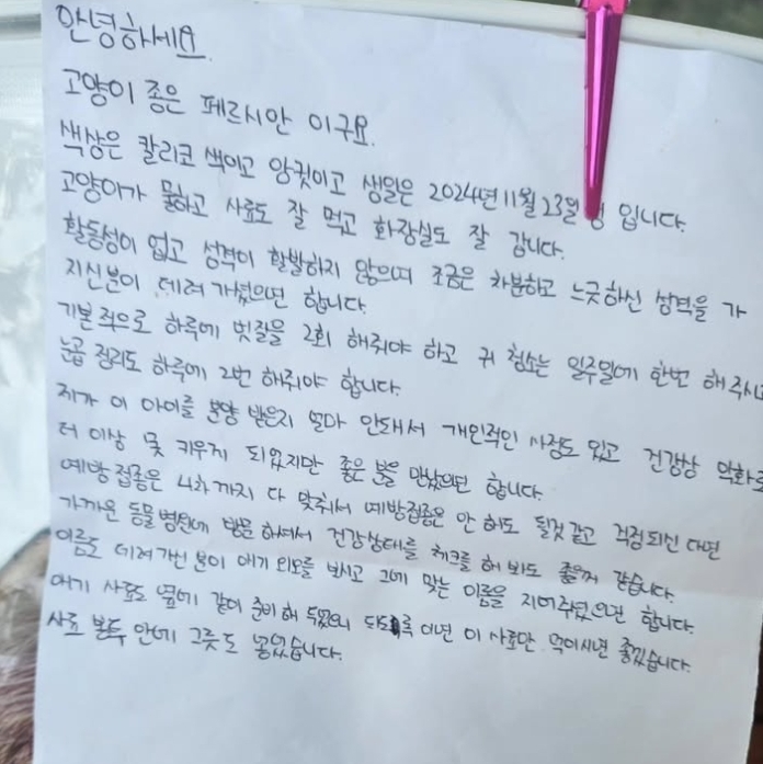 편지, 사료와 함께 버려진 고양이 (구미 동락공원) | 인스티즈