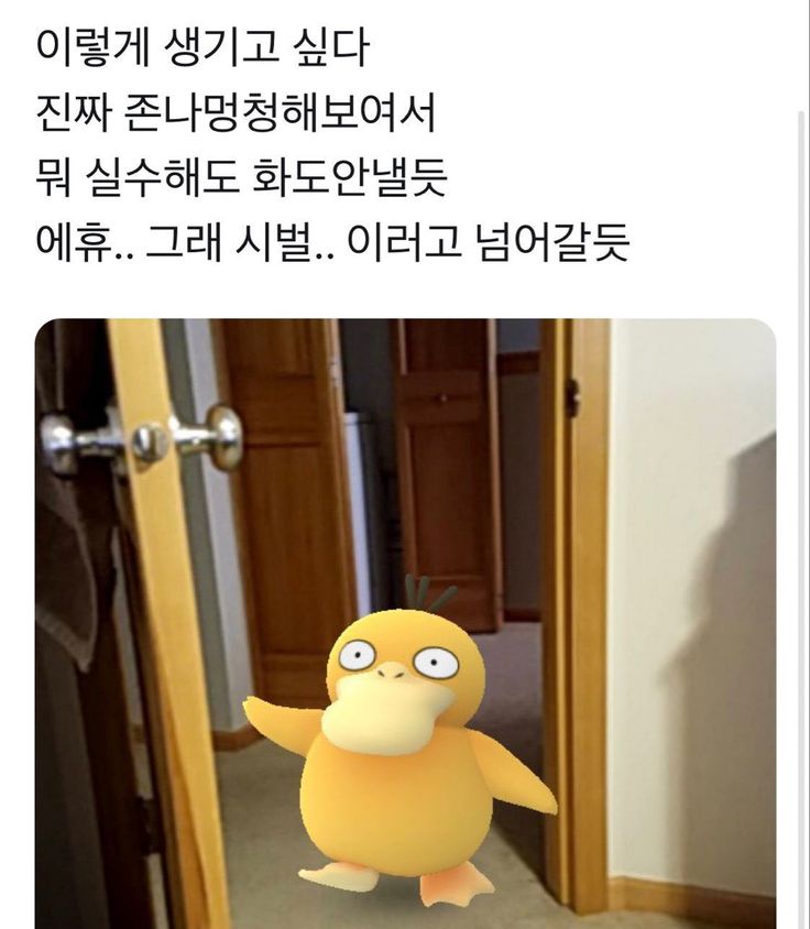 핀터레스트 정주행.... 1악장.. 인성터진짤에 웃기 | 인스티즈