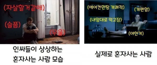 혼자 사는게 정말 편한 사람 특징.jpg | 인스티즈