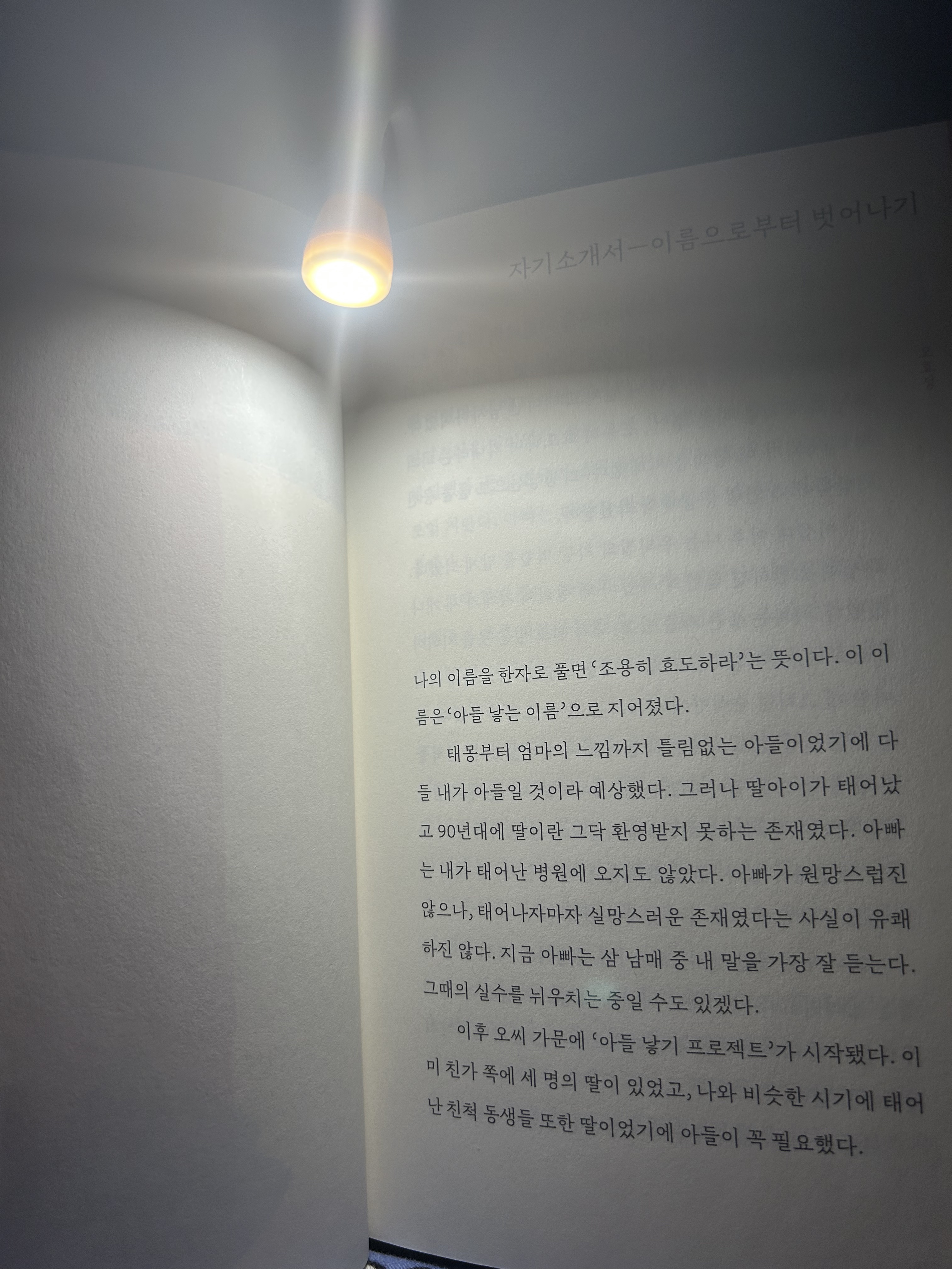 물욕 넘치는 다독가 여시의 독서템 추천 | 인스티즈