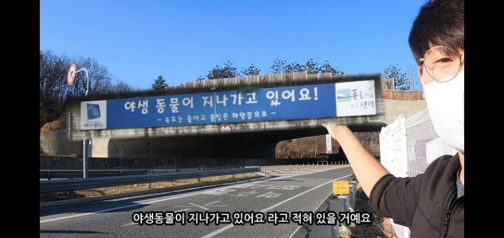  도로 위 야생동물 생태통로를 이용하는 동물들.jpg