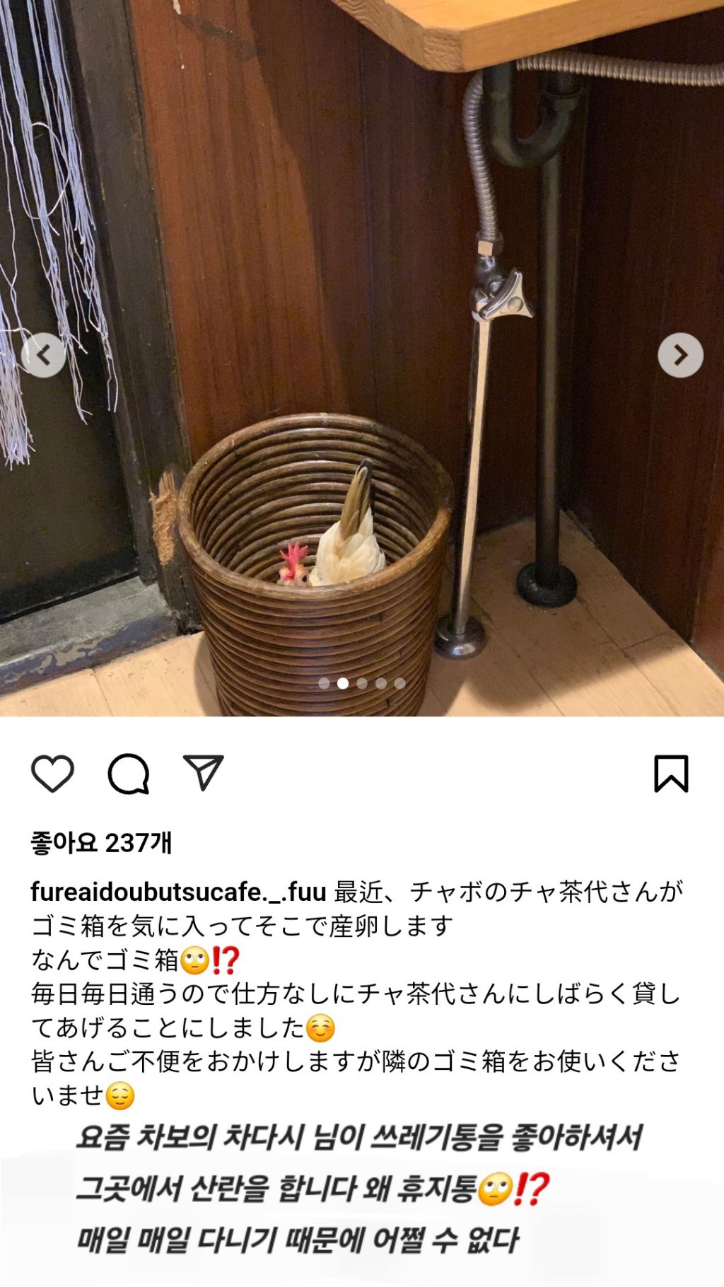 동물카페의 세면대 이용후 쓰레기통을 보고 깜짝 놀람 | 인스티즈