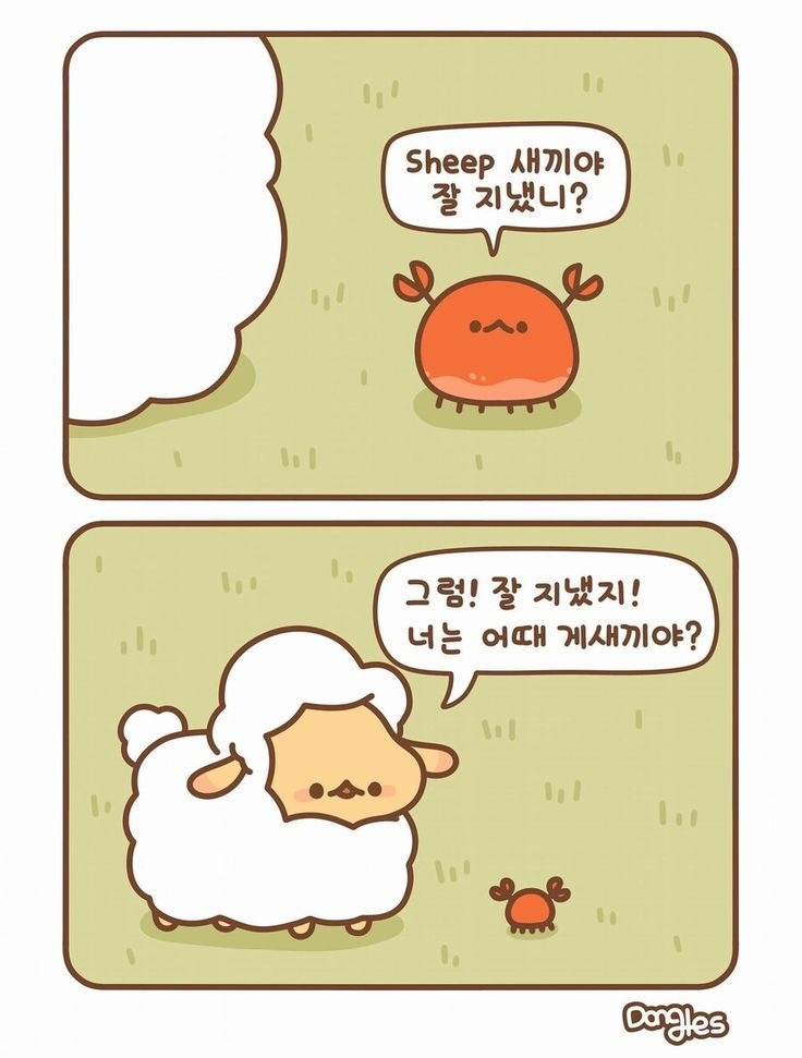 선 넘는 개그가 취향이라 참 난감하다 | 인스티즈