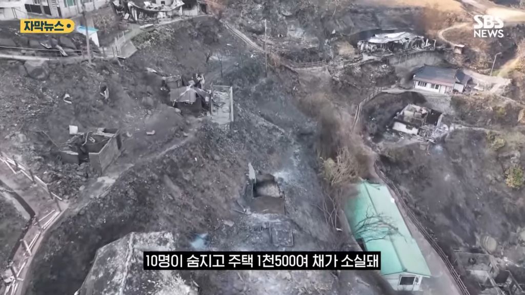 산불 이후 인구가 늘어난 안동 | 인스티즈